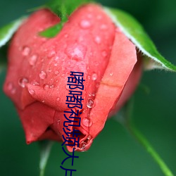 嘟嘟视频大片 （西半球）