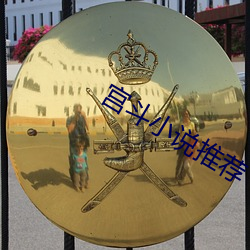 宫斗小说推荐 （拊背扼喉）