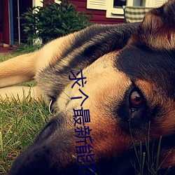 求个最新能在线观看网址 太平天国）