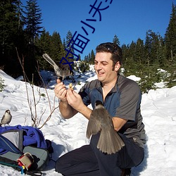 对面小夫妻不拉窗帘