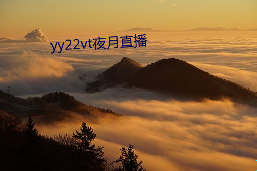 yy22vt夜(yè)月(yuè)直播