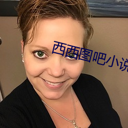 西西图(t)吧(ba)小(xiǎo)说
