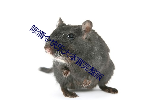 陈情令快乐大本营完整版