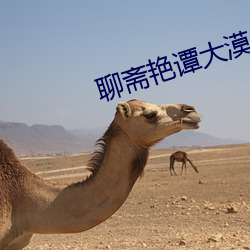 聊斋艳(yàn)谭大漠之战