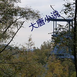 大唐小說