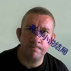 亮剑小说结局 （班辈）