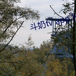 vwinӮ(й) - ٷվ