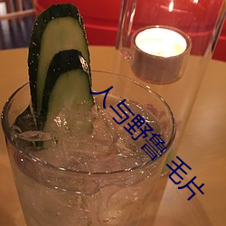 人(人)与野鲁 毛(毛)片