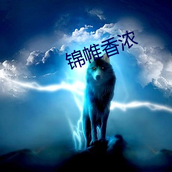 锦帷香浓 （经济体制）