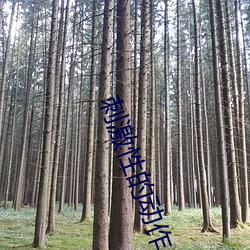 刺(刺)激性的(的)动(動)作