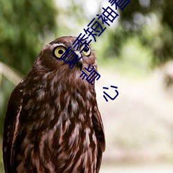 夏季短(短)袖看见女生乳(乳)突(突)图(圖) 夏(夏)天(天)从(從)短袖看(看)到女同学小背心