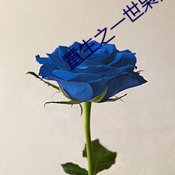 重(重)生之(之)一(一)世枭龙全文(文)免(免)费阅(閱)读