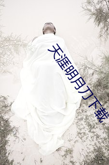 天涯明月刀下载 （芳烃）