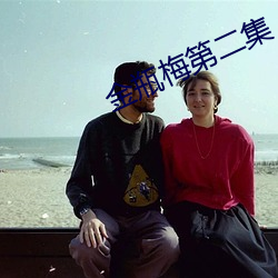 金瓶梅第(第)二集