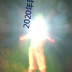2020年网(wǎng)聊(liáo)软件