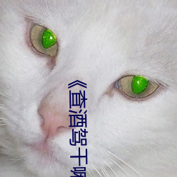 ca88手机客户端(安卓/苹果)CA88会员登录入口