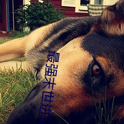 最(最)强末(末)世进化