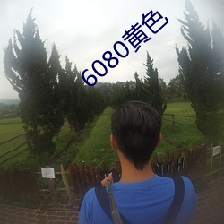 6080黄色 （论世知人）