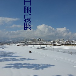 宠妃罢(罷)工日常