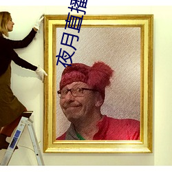 夜月直播app安卓版
