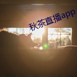 秋茶直播app