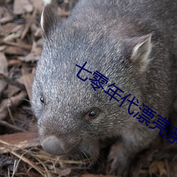 七零年代漂亮親媽
