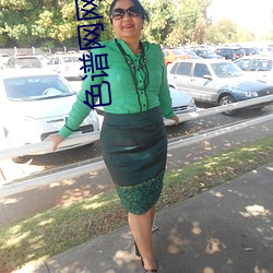 色谱网网址大全