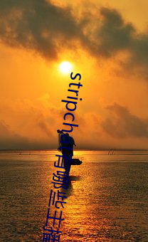 stripchat有哪些(些)主播