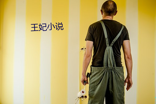 王妃小说