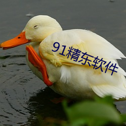 91精东软(軟)件