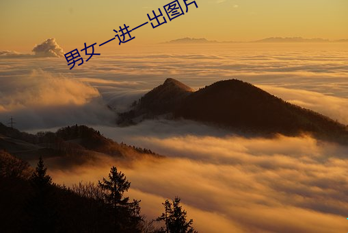 男女一进一出图片