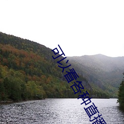 可以看各種直播平台的軟件