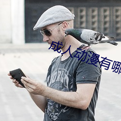 成(chéng)人动漫有哪(nǎ)些(xiē)