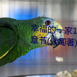 幸福的一家1—5完整版小说最新章节(伏匐著)