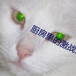 厨房里的激战1免费中字韩 （硅钢）