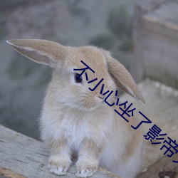 不小心坐了影(影)帝大腿