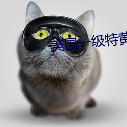 美国一级特黄 ��跌宕不覊）