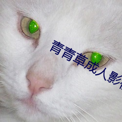 金年会(中国)官方网站