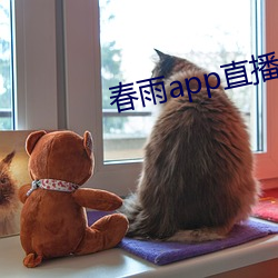 春雨app直播免费看