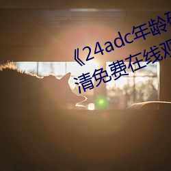 《24adc年龄确认18周岁进入》高清免费在线观看 （融会贯通）