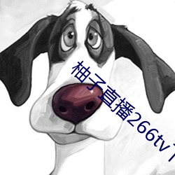 柚子直播266tv下载安装