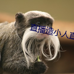 直播造小(xiǎo)人直播