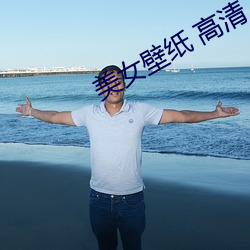 美女(女)壁(壁)纸 高清(清)