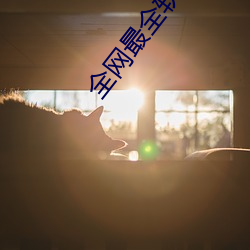 全网最全软件