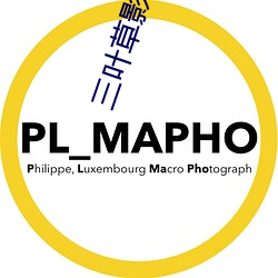三叶草影视传媒有限公司