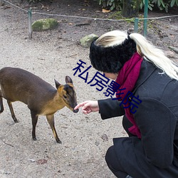 私房(fáng)影院