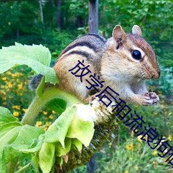 米乐M6·(中国)官方网站