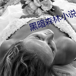 黑暗森林小(小)说