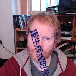 重生輝煌時代