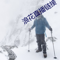 浪花直播链接 高着）